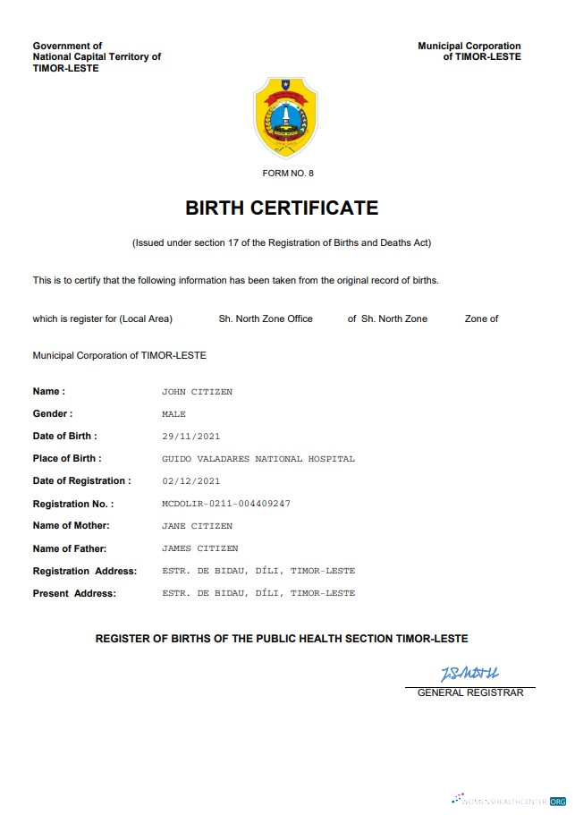 Download Timor Leste birth certificate Word and PDF template Photoshop template